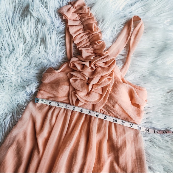 Blush Ruffled Chiffon Cocktail Dress - Picture 6 of 6